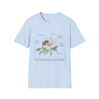 Mason Mother homeschool mom graphic t-shirt with a Charlotte Mason-inspired design with books, nature details, and vintage homeschool charm