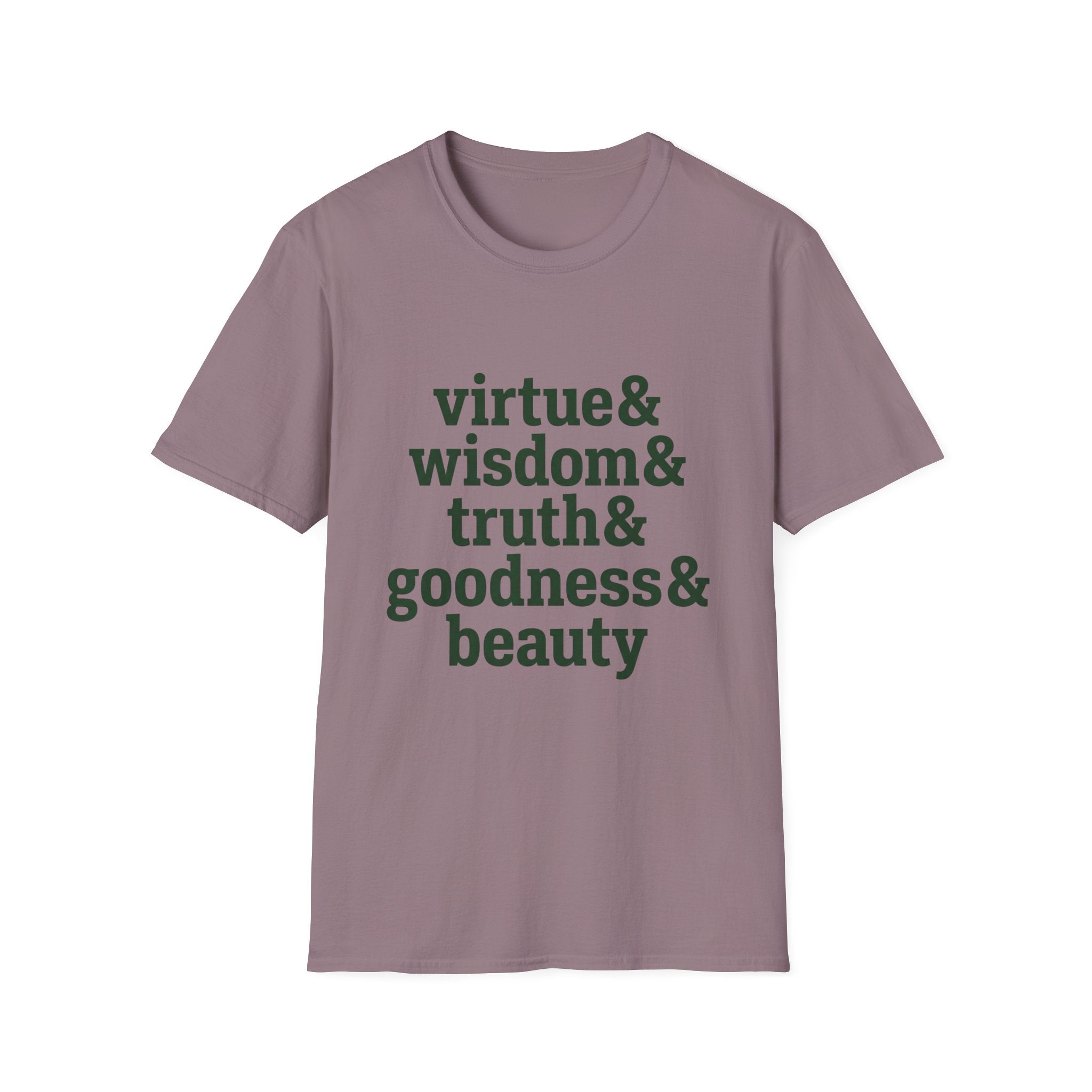 Virtue & Wisdom Check List homeschool mom graphic t-shirt with a playful checklist-style homeschool graphic with bookish and nature-inspired details