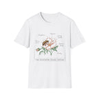 Mason Mother homeschool mom graphic t-shirt with a Charlotte Mason-inspired design with books, nature details, and vintage homeschool charm